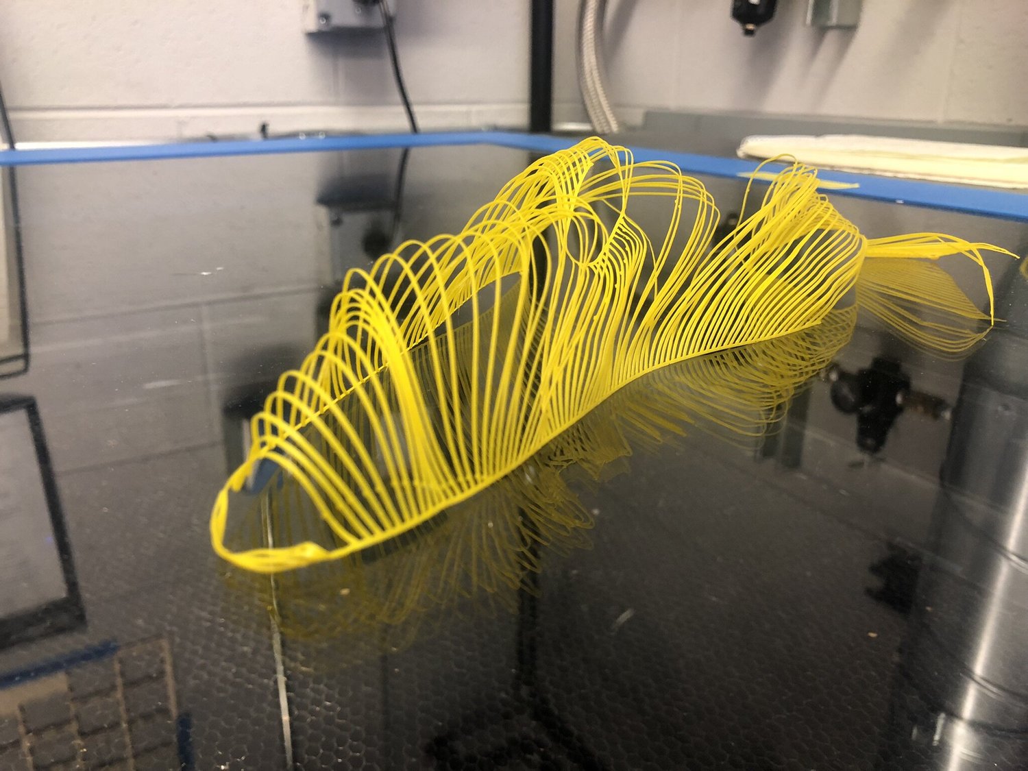 A 3D printing accident gave life to a trout.